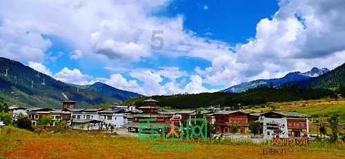 丧尸围城4