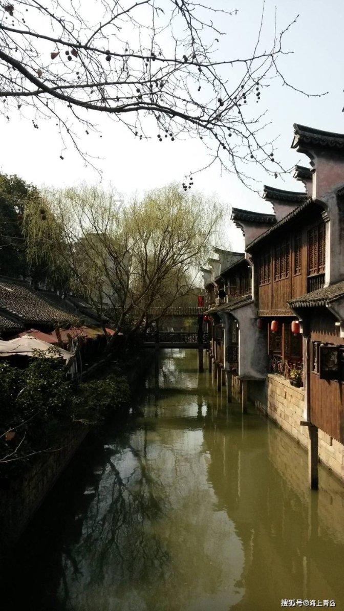 逃离金色蜜蜂森林